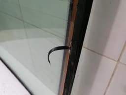 PORSCHE Porsche 911 996 Rear Screen 99654590102 Rear Window- — thumbnail 7