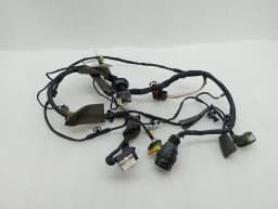 FERRARI Ferrari 599 GTB F141 Wiring Loom 226231 LH DOOR Wiring Harness- — thumbnail 2