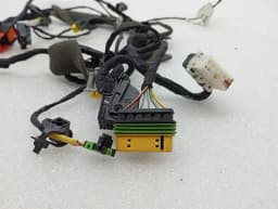 FERRARI Ferrari 599 GTB F141 Wiring Loom 226232 RH DOOR Wiring Harness- — thumbnail 5