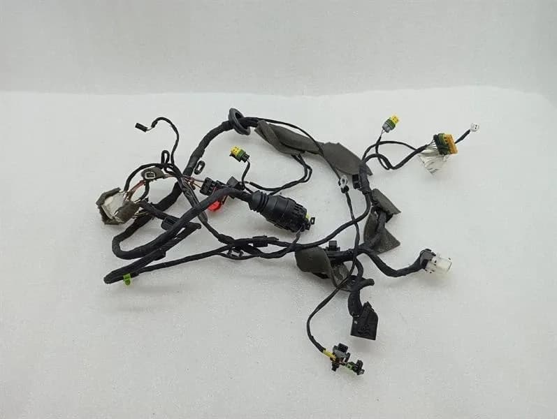 FERRARI Ferrari 599 GTB F141 Wiring Loom 226232 RH DOOR Wiring Harness-
