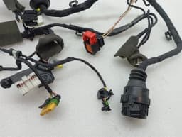 FERRARI Ferrari 599 GTB F141 Wiring Loom 226231 LH DOOR Wiring Harness- — thumbnail 4
