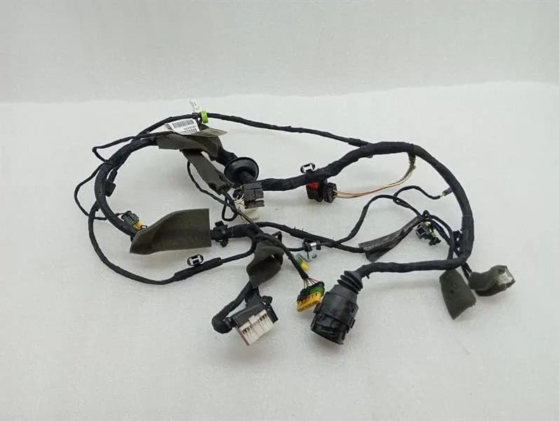 FERRARI Ferrari 599 GTB F141 Wiring Loom 226231 LH DOOR Wiring Harness-