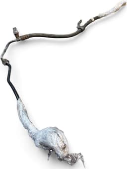 HONDA 53713SEA306 53713SEAG01 Power Steering Hose from pump to steering gear HONDA ACCORD VII (CM, CN) (2003-2008) — thumbnail 1