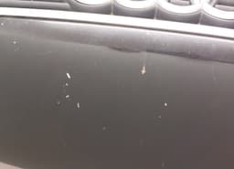 AUDI 8D0823029B Bonnet AUDI A4 (B5) (1994-2001) — thumbnail 4
