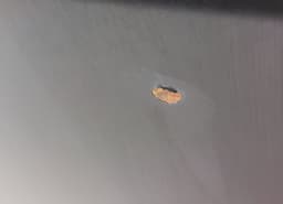 AUDI 8D0823029B Bonnet AUDI A4 (B5) (1994-2001) — thumbnail 2