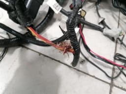 CHEVROLET Chevrolet Corvette C7 Grand Sport Main Wiring Loom with Defects Wiring Harness- — thumbnail 10
