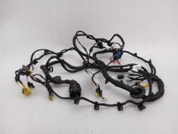 FERRARI Ferrari 488 F142M Left Door Wiring Loom 324899 Left Hand Wiring Harness- — thumbnail 1
