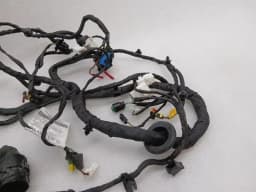 FERRARI Ferrari 488 F142M Left Door Wiring Loom 324899 Left Hand Wiring Harness- — thumbnail 4