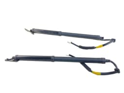 LEXUS 6892048061 6891048081 Bootlid / tailgate strut set LEXUS RX IV (AL20) (2015-2022) — thumbnail 1