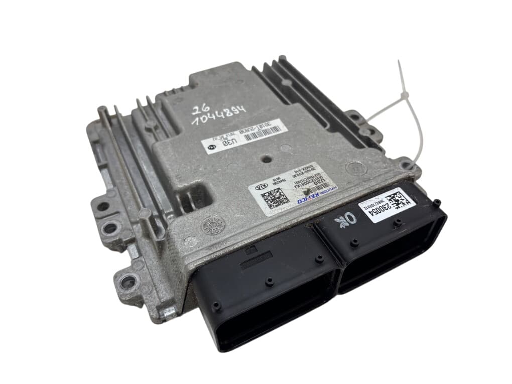 KIA 391012U930 Engine Control Unit / module (ECU) KIA SPORTAGE IV (QL) (2015-2021)