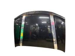 NISSAN F51005X3MA Bonnet NISSAN NAVARA II / NP300 (D40) (2004-2021) — thumbnail 1