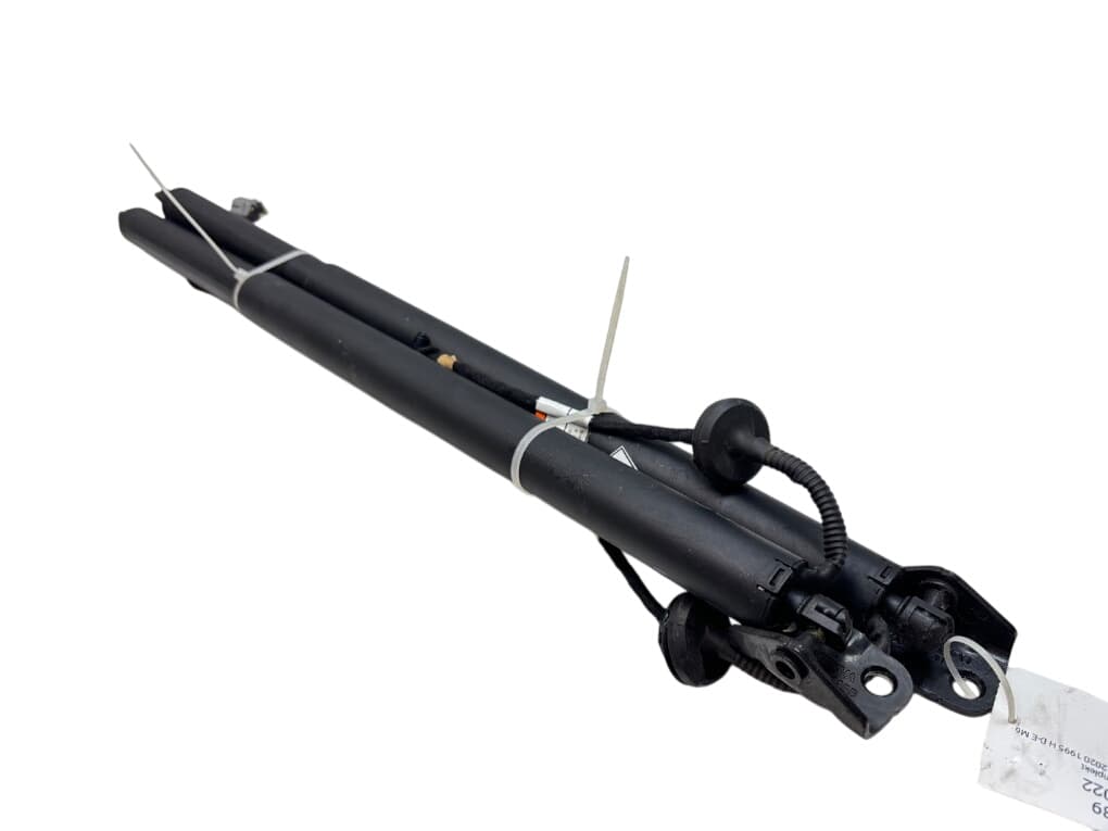 FORD 2701424 2701426 Bootlid / tailgate strut set FORD KUGA III (DFK) (2019-)