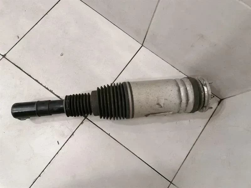 LAND ROVER Range Rover Sport L494 Shock Absorber Front FK6M-3C286-AC Shock Absorber Front