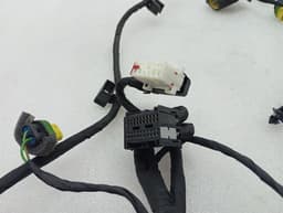 FERRARI Ferrari California T F149 14-17 Wiring Loom 311791 Door Rh Rh Wiring Harness — thumbnail 6