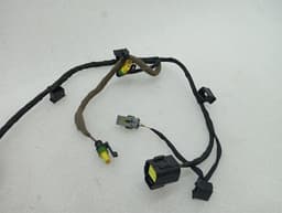 FERRARI Ferrari California T F149 14-17 Wiring Loom 311791 Door Rh Rh Wiring Harness — thumbnail 10