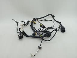 FERRARI Ferrari California T F149 14-17 Wiring Loom 311792 Door LH RHD Wiring Harness — thumbnail 5