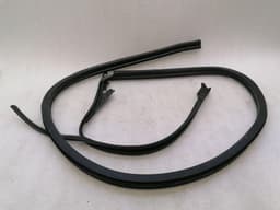 ASTON MARTIN Aston Martin DB9 Volante Left Door Seal 4G43-F20709-BH Left Door Seals — thumbnail 1