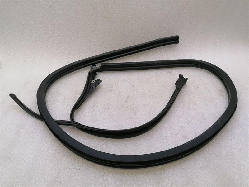 ASTON MARTIN Aston Martin DB9 Volante Left Door Seal 4G43-F20709-BH Left Door Seals