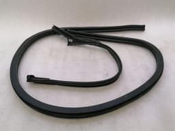 ASTON MARTIN Aston Martin DB9 Volante Left Door Seal 4G43-F20709-BH Left Door Seals — thumbnail 2