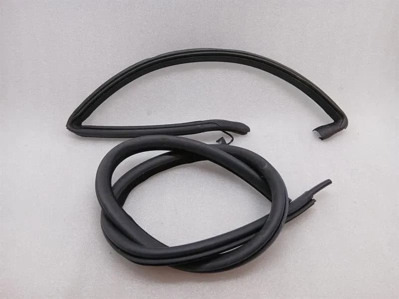 ASTON MARTIN Aston Martin Rapide 10-14 Door Seal ED43-F20709-FA RL HEATED Door Seals