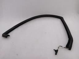 ASTON MARTIN Aston Martin Rapide 10-14 Door Seal AD43-F20708-FB RR HEATED Door Seals — thumbnail 2