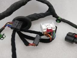 PORSCHE Porsche 911 992 Wiring Loom 9P5972031D Wiring Harness RIGHT DOOR — thumbnail 2