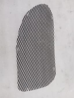 FERRARI Ferrari 360 F131 Front Grille 65871100 Radiator Grille — thumbnail 4