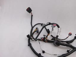 ASTON MARTIN Aston Martin Vanquish AM310 Wiring Loom ED33-14630-BC RH DOOR Wiring Harness — thumbnail 3