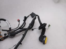 ASTON MARTIN Aston Martin Vanquish AM310 Wiring Loom ED33-14630-BC RH DOOR Wiring Harness — thumbnail 8