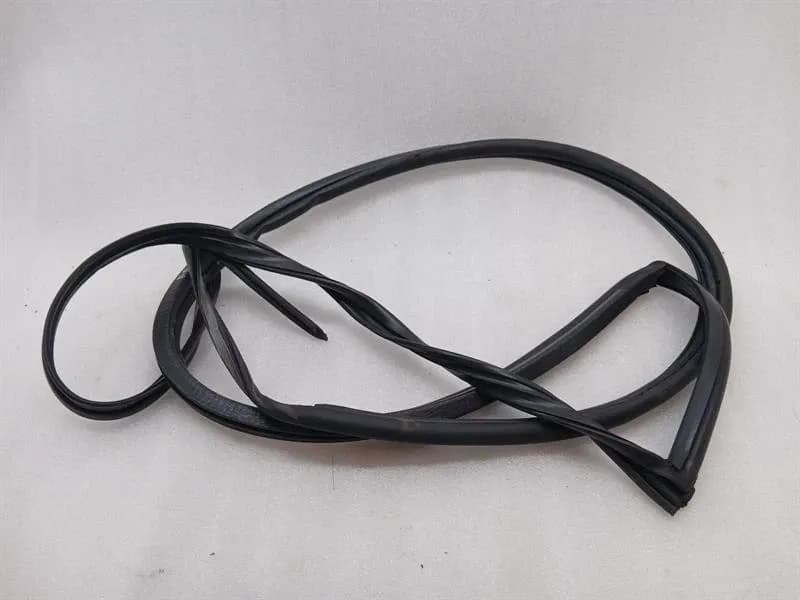 ASTON MARTIN ASTON MARTIN DB9 COUPE Door Seal 4G43-F20708-AJ RIGHT Door Seals