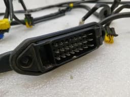 FERRARI Ferrari 360 F131 Wiring Loom 201104 LH DOOR Wiring Harness Door — thumbnail 2