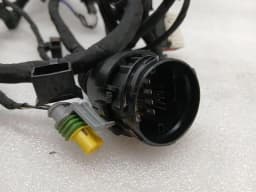 FERRARI Ferrari California T F149 14-17 Wiring Loom 318627 RH DOOR LHD Wiring Harness — thumbnail 2