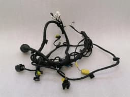 FERRARI Ferrari California T F149 14-17 Wiring Loom 318625 Door LH LHD Wiring Harness — thumbnail 6