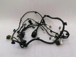 FERRARI Ferrari California T F149 14-17 Wiring Loom 318625 Door LH LHD Wiring Harness — thumbnail 8