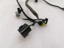 FERRARI Ferrari California T F149 14-17 Wiring Loom 318625 Door LH LHD Wiring Harness — thumbnail 5