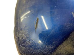 HONDA 71501SEDZZ00 Rear bumper HONDA ACCORD VII (CM, CN) (2003-2008) — thumbnail 6