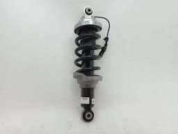 LAMBORGHINI Lamborghini Huracan Performante shock absorber rear 4S0512019S shock absorber — thumbnail 10