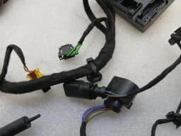 LAMBORGHINI Lamborghini Huracan Performante Wiring Loom 4T2971029F Right Door WIRING RHD — thumbnail 4