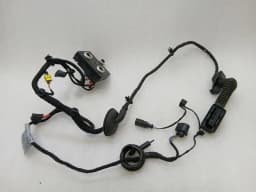 LAMBORGHINI Lamborghini Huracan Performante Wiring Loom 4T2971029F Right Door WIRING RHD — thumbnail 9