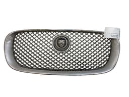 JAGUAR C2Z13175 Radiator Grille JAGUAR XF (X250, CC9) (2008-2015) — thumbnail 1