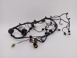 FERRARI Ferrari F8 F142MFL Driver Door Wiring Loom 916729 Driver Door Wiring Harness — thumbnail 1