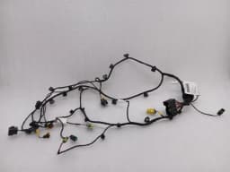 FERRARI Ferrari F8 F142MFL Passenger Door Wiring Loom 916731 Passenger Door Wiring Harness — thumbnail 1