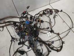 PORSCHE Porsche Panamera 976 G3 2024-2026 Engine Wiring Loom 976971061A Engine Wiring Harness — thumbnail 3