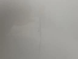 BENTLEY Bentley Continental Flying Spur Right Rear Door 3W5833056B Door Rear Right — thumbnail 9