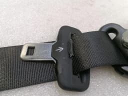 FERRARI Ferrari Purosangue F175 seatbelt 740845 set of 4 seat belt harness set — thumbnail 5