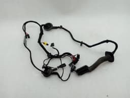 LAMBORGHINI Lamborghini Huracan Performante Wiring Loom 4T2971029G Wiring Harness Left Door RHD — thumbnail 1