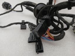 LAMBORGHINI Lamborghini Huracan LP640 EVO Wiring Loom 4T1971029E Wiring Harness LEFT DOOR LHD — thumbnail 9
