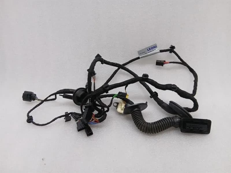 LAMBORGHINI Lamborghini Huracan LP640 EVO Wiring Loom 4T1971029E Wiring Harness LEFT DOOR LHD