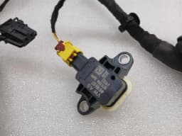 LAMBORGHINI Lamborghini Huracan LP640 EVO Wiring Loom 4T1971029E Wiring Harness LEFT DOOR LHD — thumbnail 4