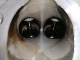 MAYBACH Maybach 57 W240 Cylinder Head A2750101801 LEFT CYLINDER HEAD LEFT — thumbnail 4